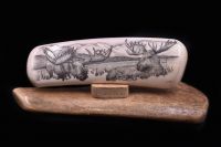 MOOSE FAMILY SCRIMSHAW